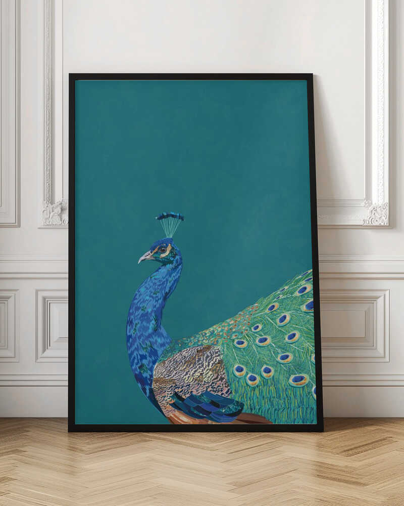 Vibrant Peacock Profile
