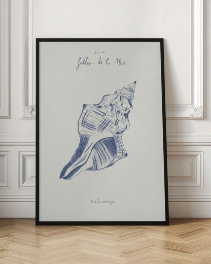 Filles de la mer n.2 - La conchiglia