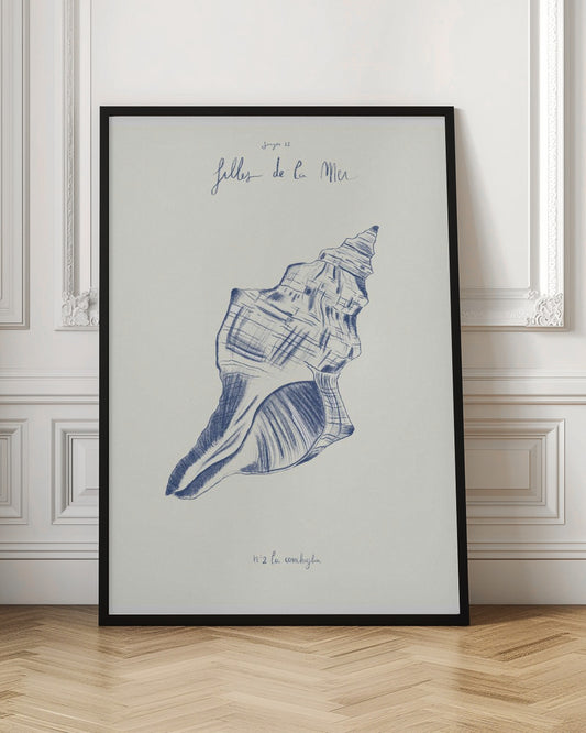 Filles de la mer n.2 - La conchiglia