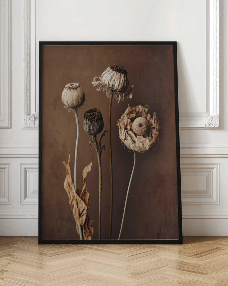 Faded Elegance