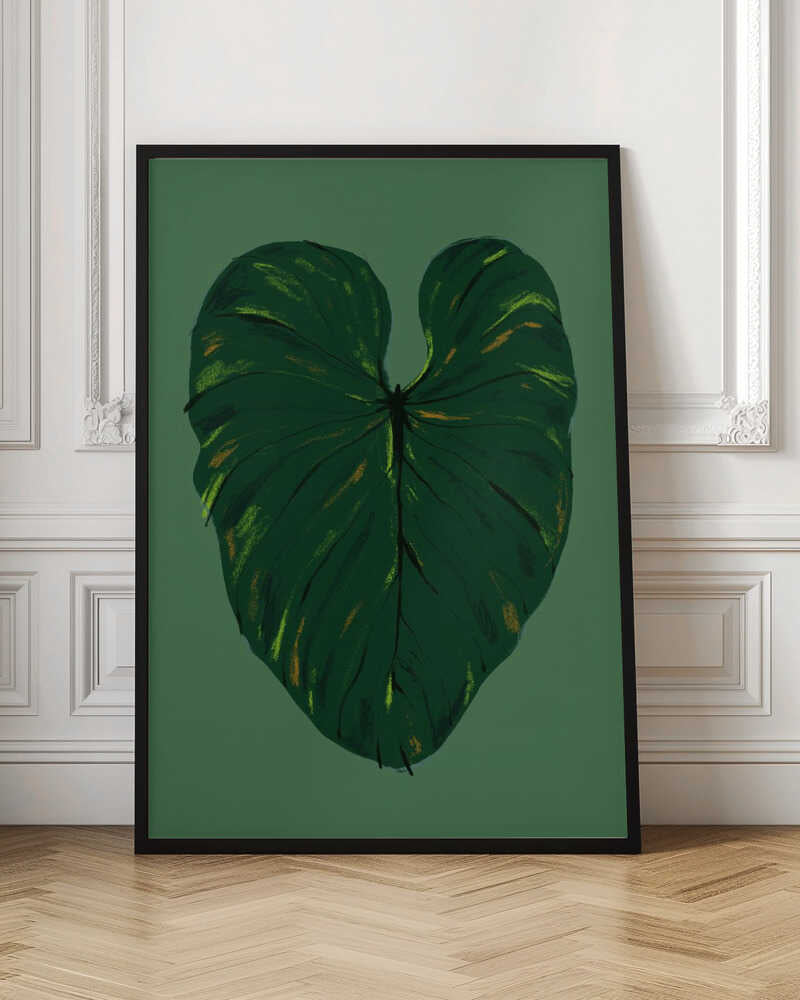 Philodendron Gloriosum Green