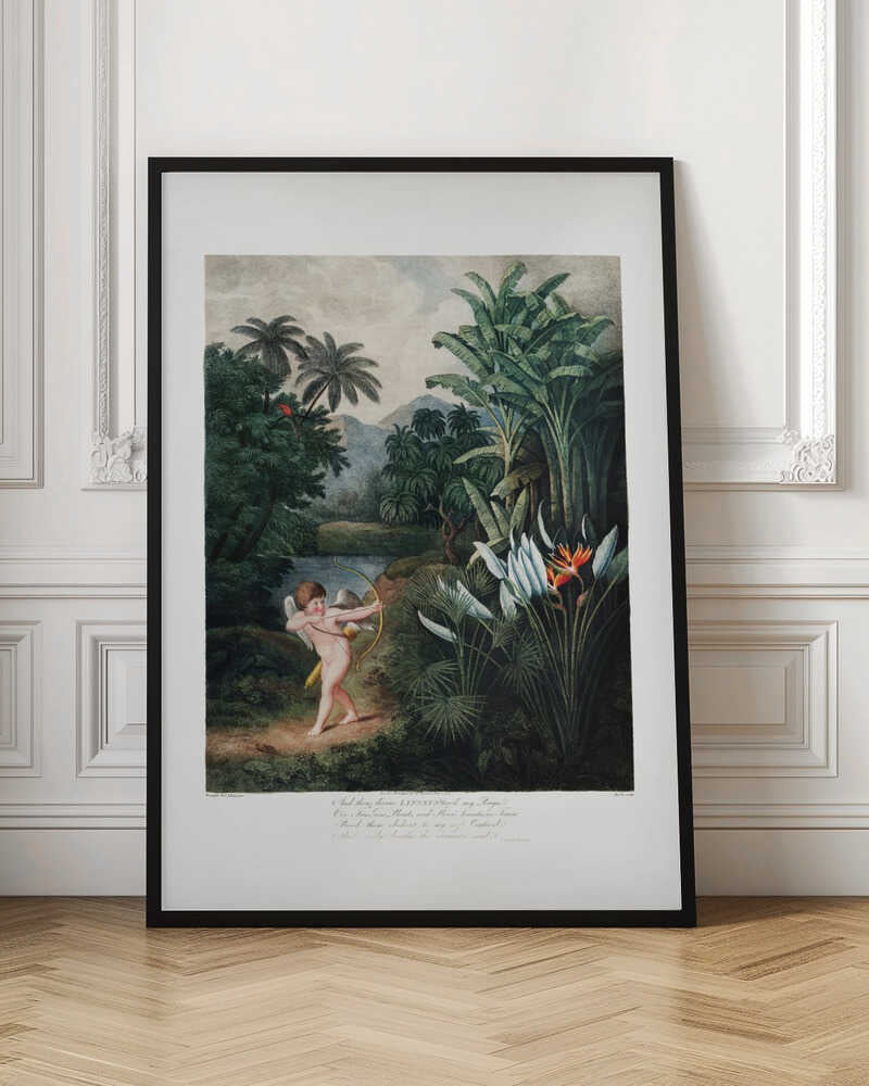 Cupid Inspiring Plants with Love from The Temple of Flora (1807)
