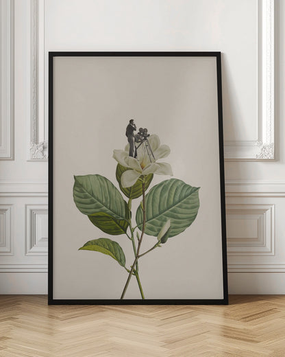Botanical vintage cameraman