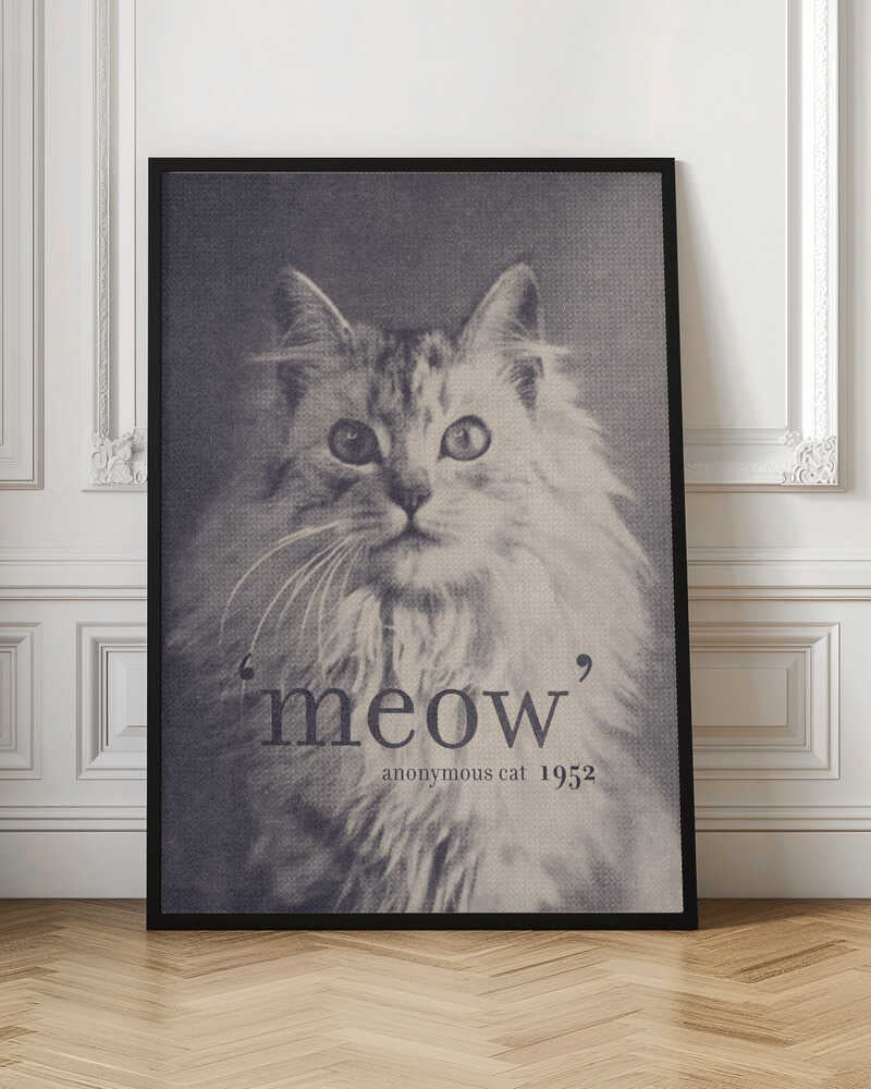 Famous Quote Cat