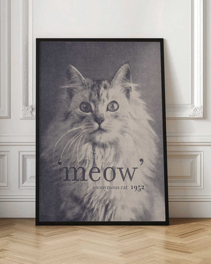 Famous Quote Cat