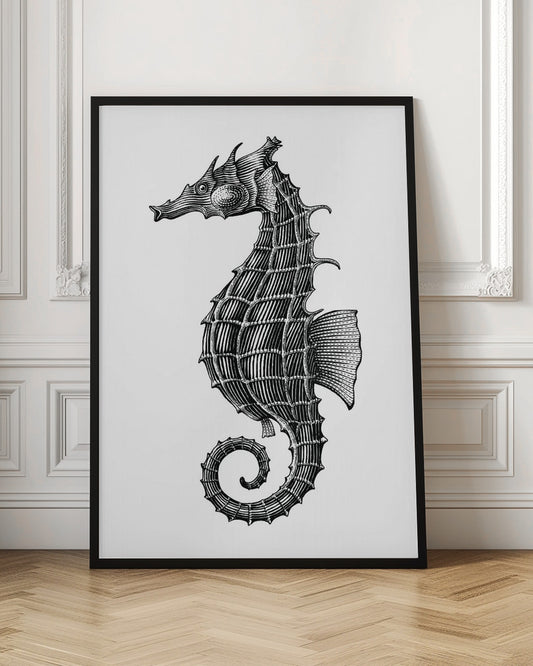 Seahorse