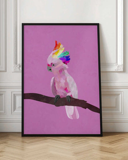 Rainbow Crest Cockatoo
