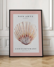 Load image into Gallery viewer, Non Arte Sea Shell no.2
