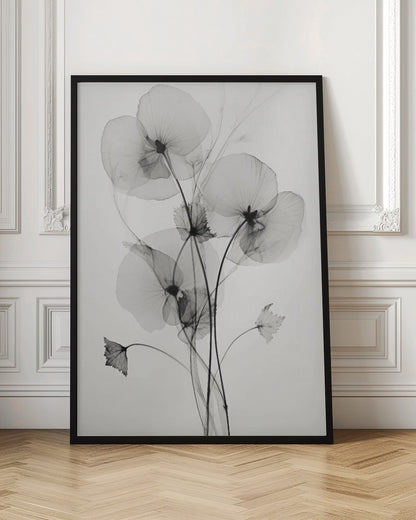 Transparent Botanic No1 | Black and white floral wall art