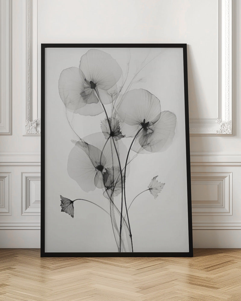 Transparent Botanic No1 | Black and white floral wall art