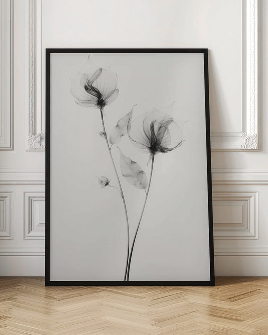 Transparent Botanic No 7 | Black and white floral wall art