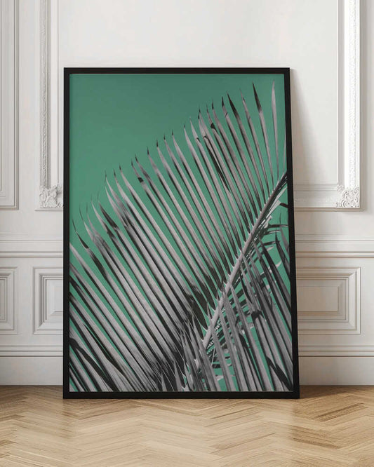 Palm Serenity