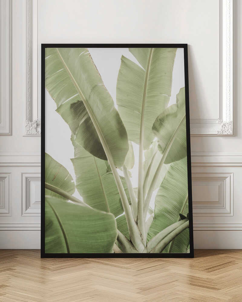 Verdant Leafscape