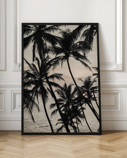 Tropical Twilight
