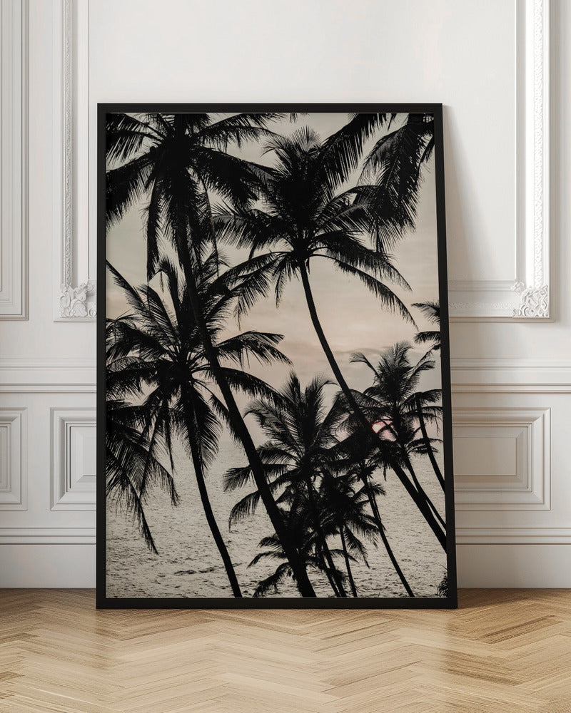 Tropical Twilight