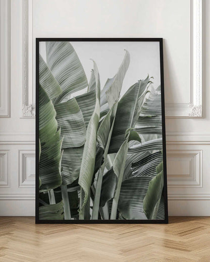 Banana Leaf Garden