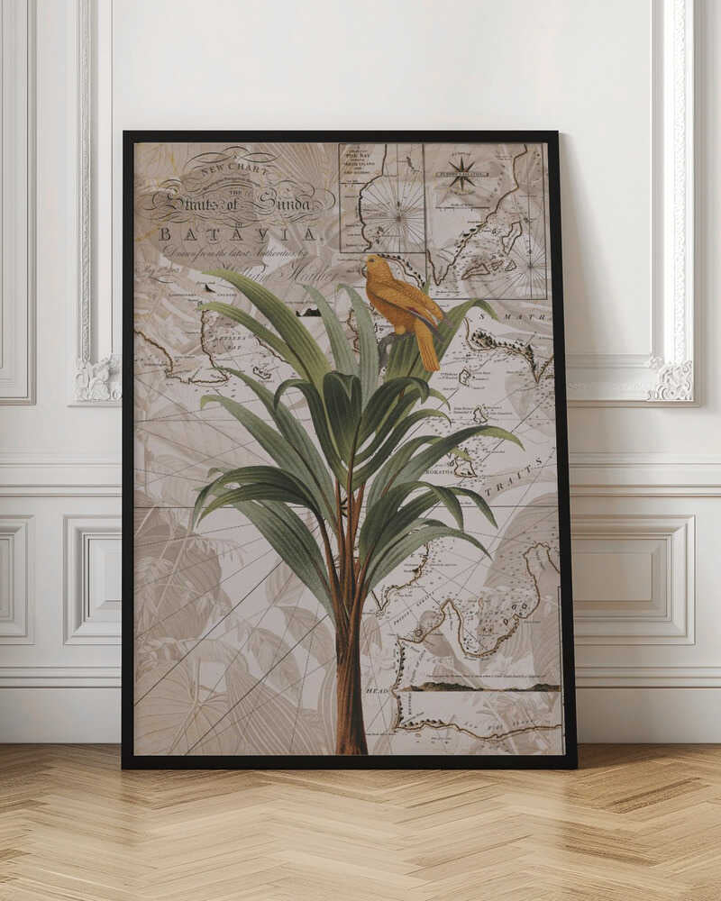 Tropical Map Bird