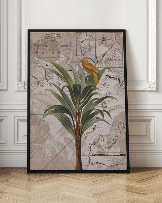 Tropical Map Bird