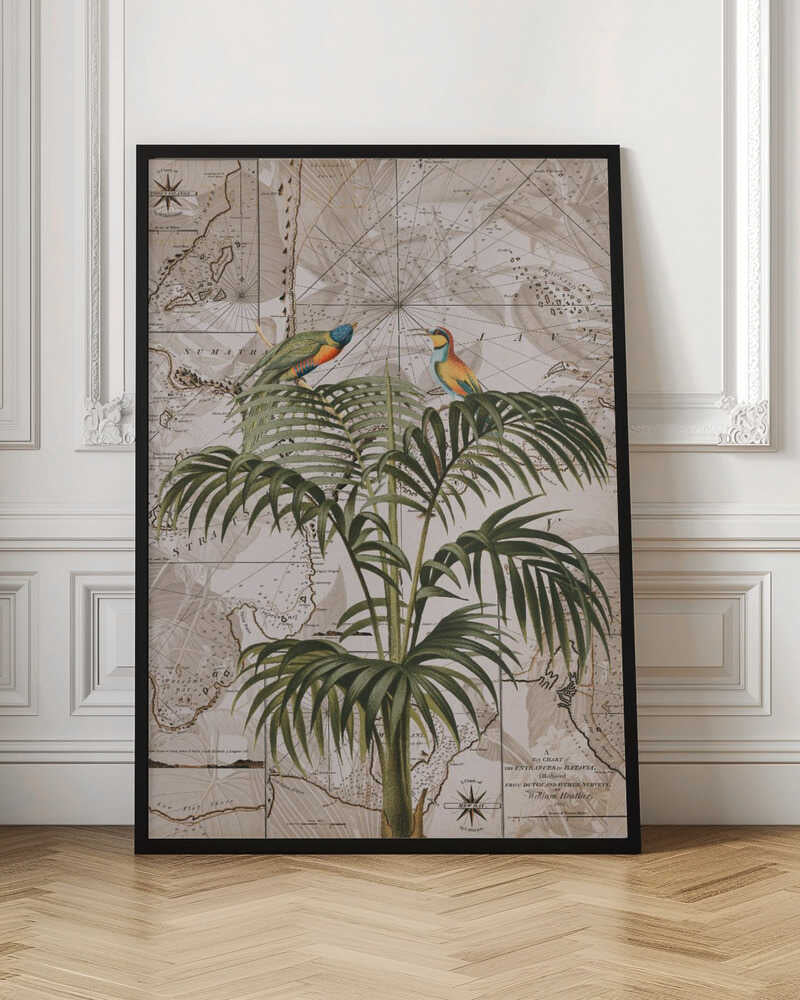 Tropical Birds Vintage Map
