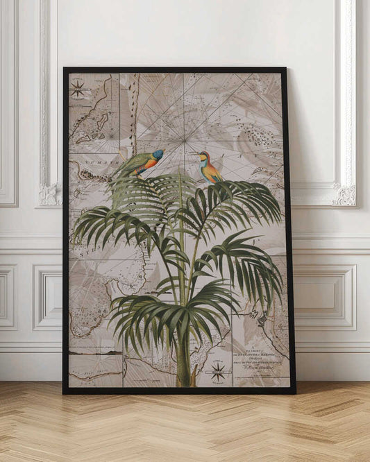 Tropical Birds Vintage Map