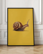Load image into Gallery viewer, Snail Fast like Cheetah
