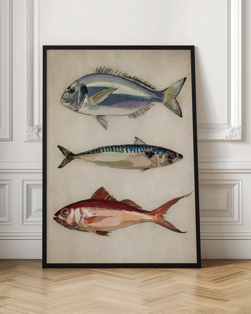Trio of Ocean Life