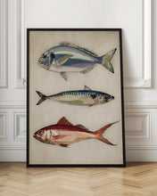 Load image into Gallery viewer, Trio of Ocean Life
