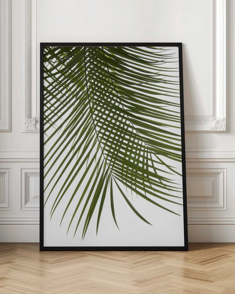 Lush Green Palm Leaf