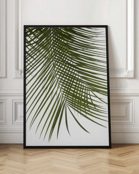Lush Green Palm Leaf