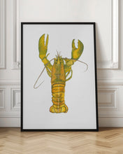 Load image into Gallery viewer, Lobster
