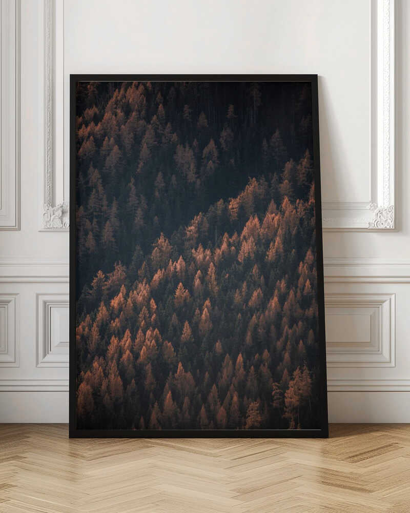 Autumn Woods 2