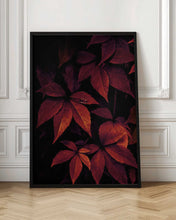 Load image into Gallery viewer, Dark Leaves 7X
