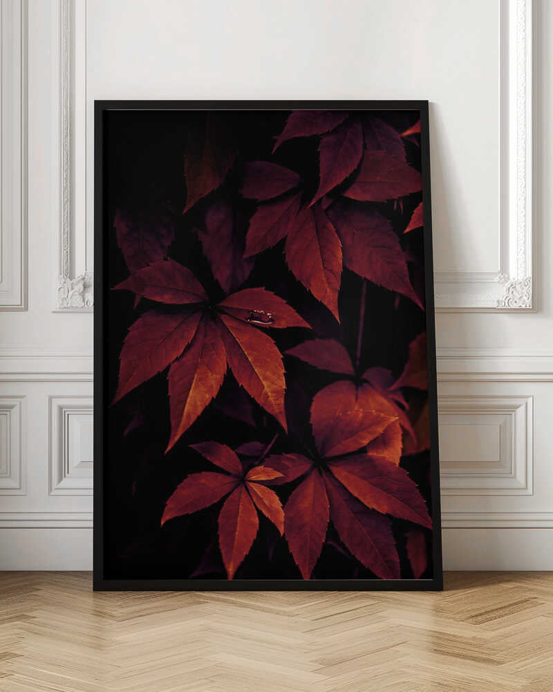 Dark Leaves 7X