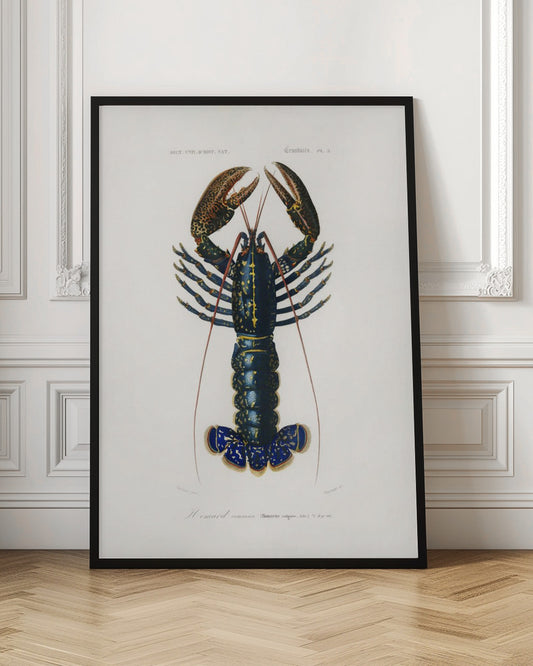 Crimson Crawfish
