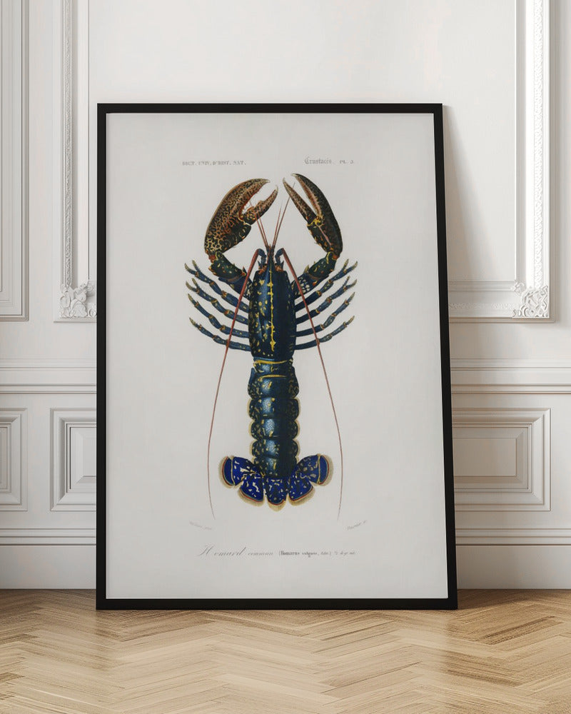 Crimson Crawfish