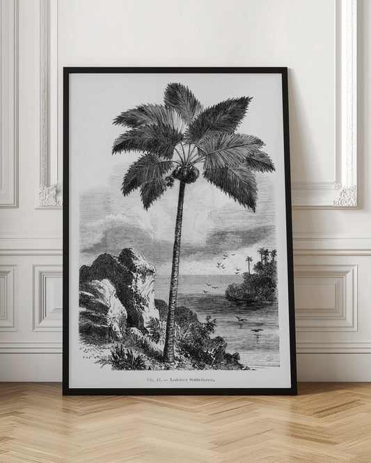 Vintage Palm Tree Drawing I