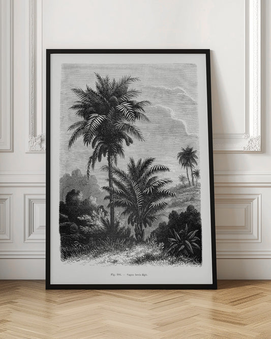 Vintage Palm Tree Drawing V