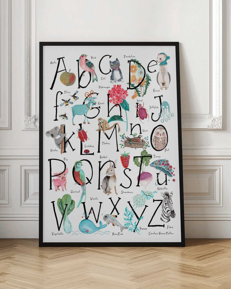 ABC illustration