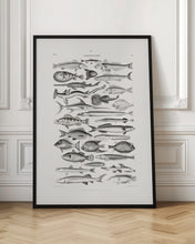 Load image into Gallery viewer, Sealife I
