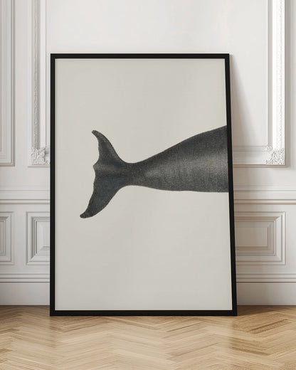 Whale Tight Crop I Handcolored Sealife Lithograph 1824
