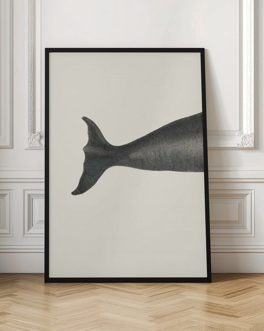 Whale Tight Crop I Handcolored Sealife Lithograph 1824