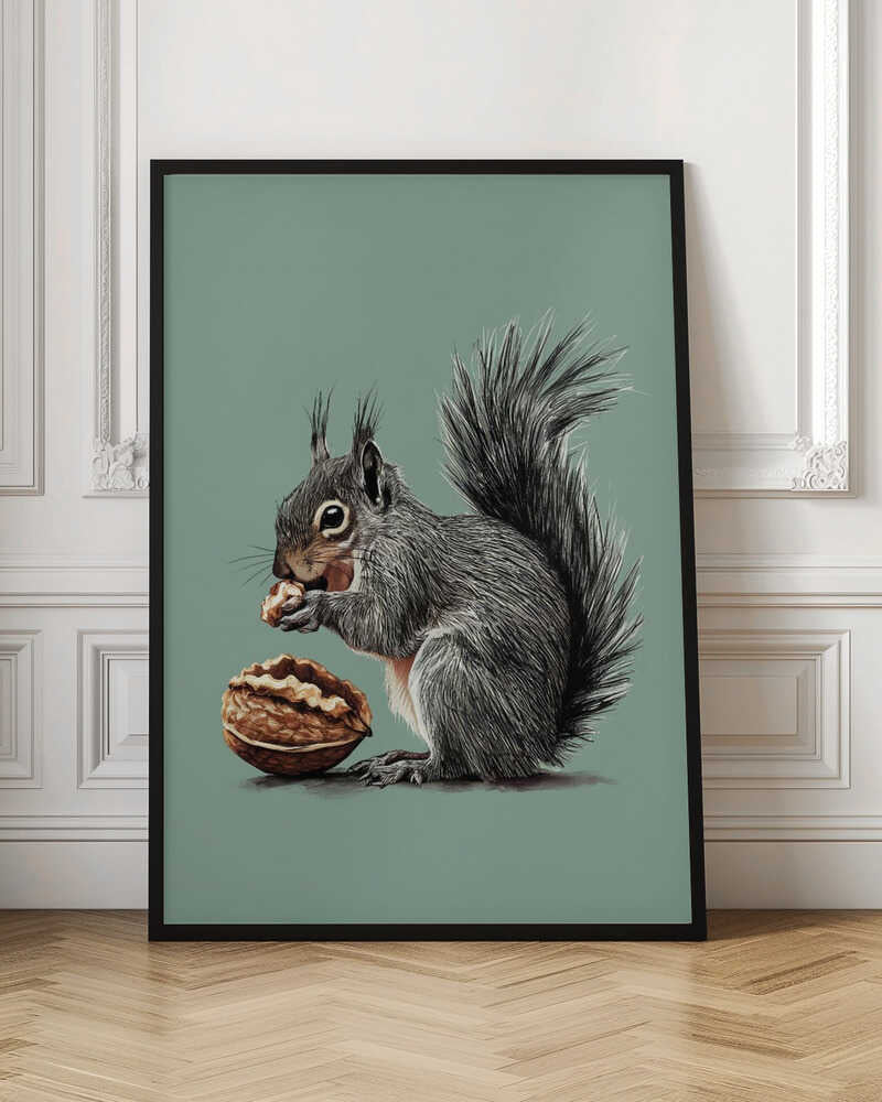 The Squirrel and the Walnut
