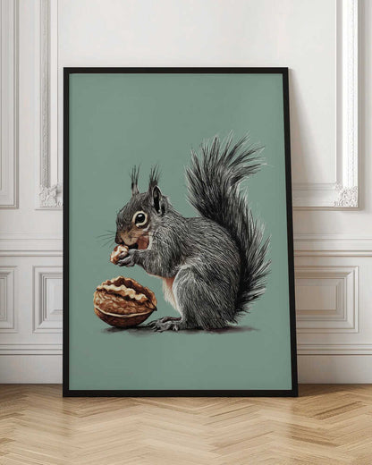 The Squirrel and the Walnut