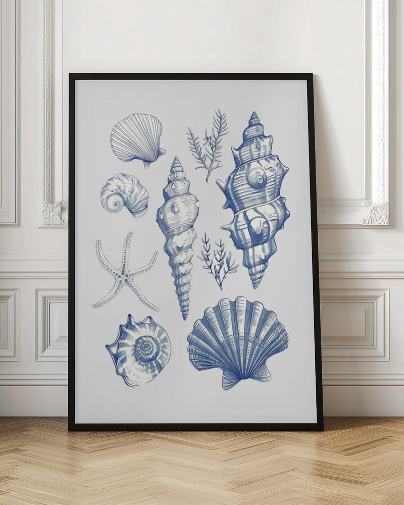 Shell Collage