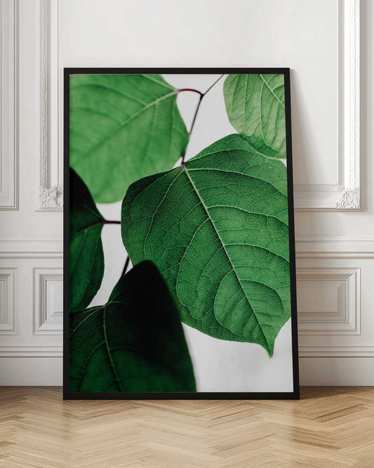 Fresh Leaf Details