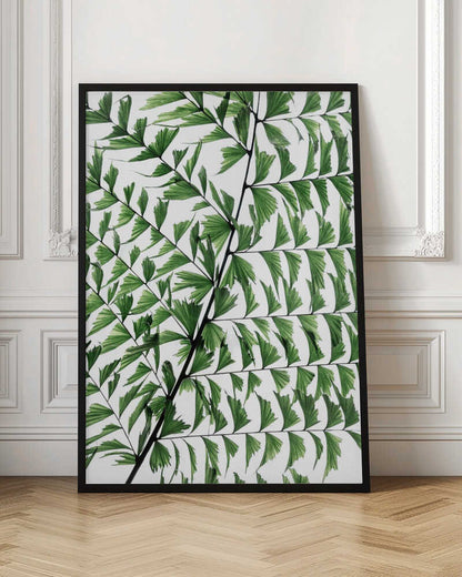 Delicate Green Fern