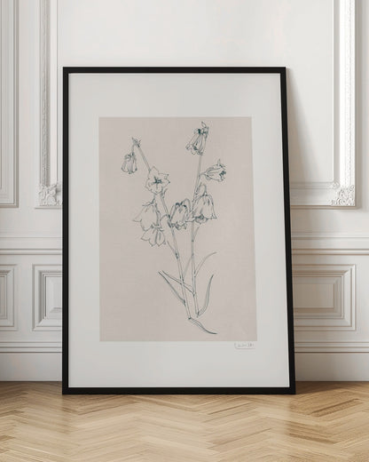 Bellflowers ink drawing
