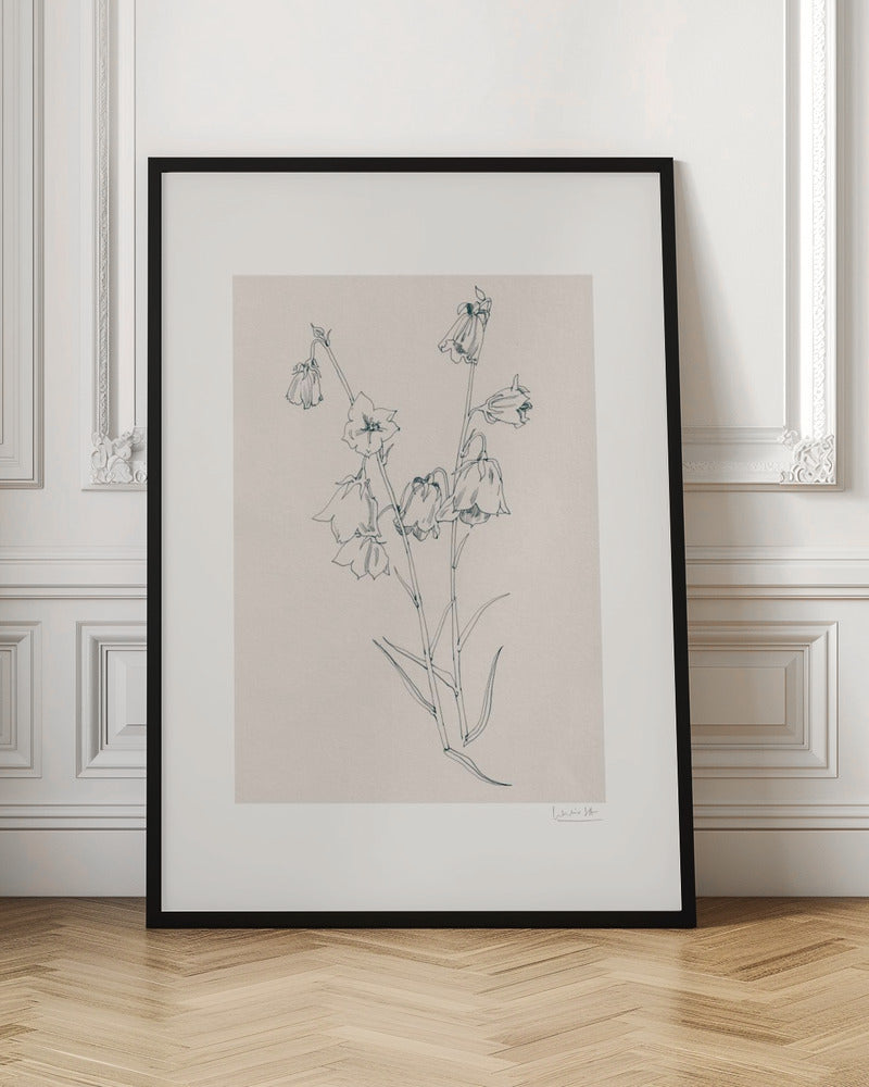 Bellflowers ink drawing