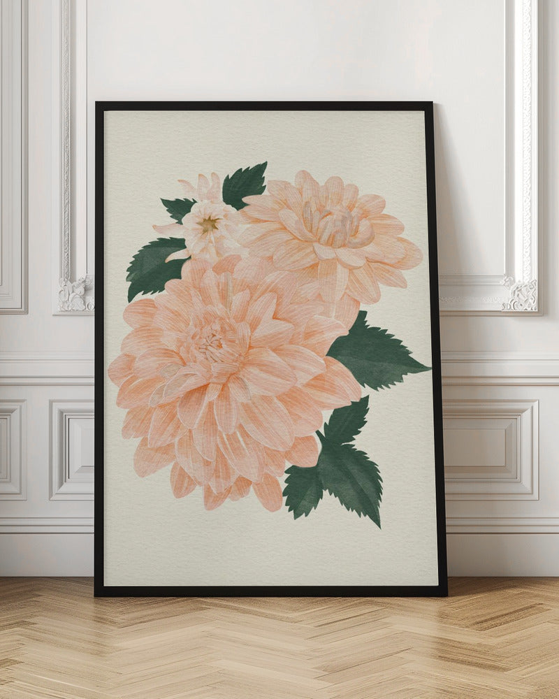 Pink Dahlia on Cream