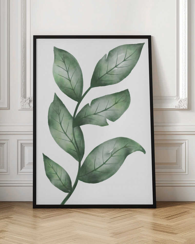 Fresh Green Botanical Leaves